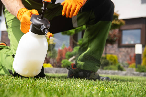 Professional Pest Control in Norridge, IL