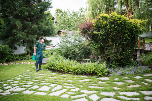 Best Commercial Pest Control Services  in Norridge, IL