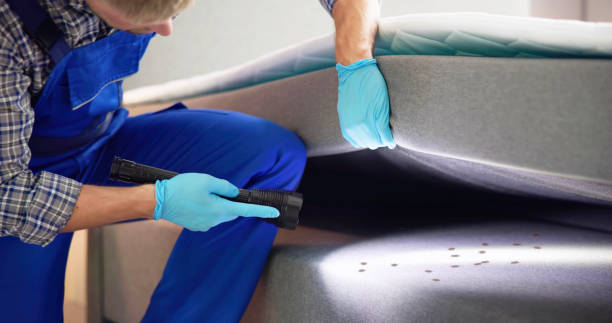 Best Rat Extermination Near Me  in Norridge, IL