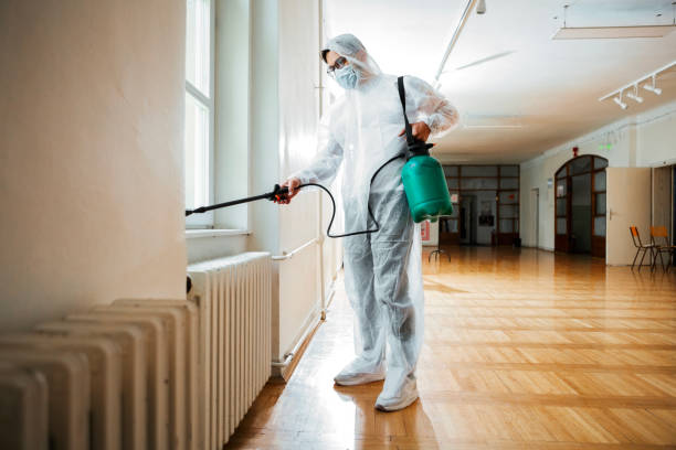 Best Pest Prevention Services  in Norridge, IL
